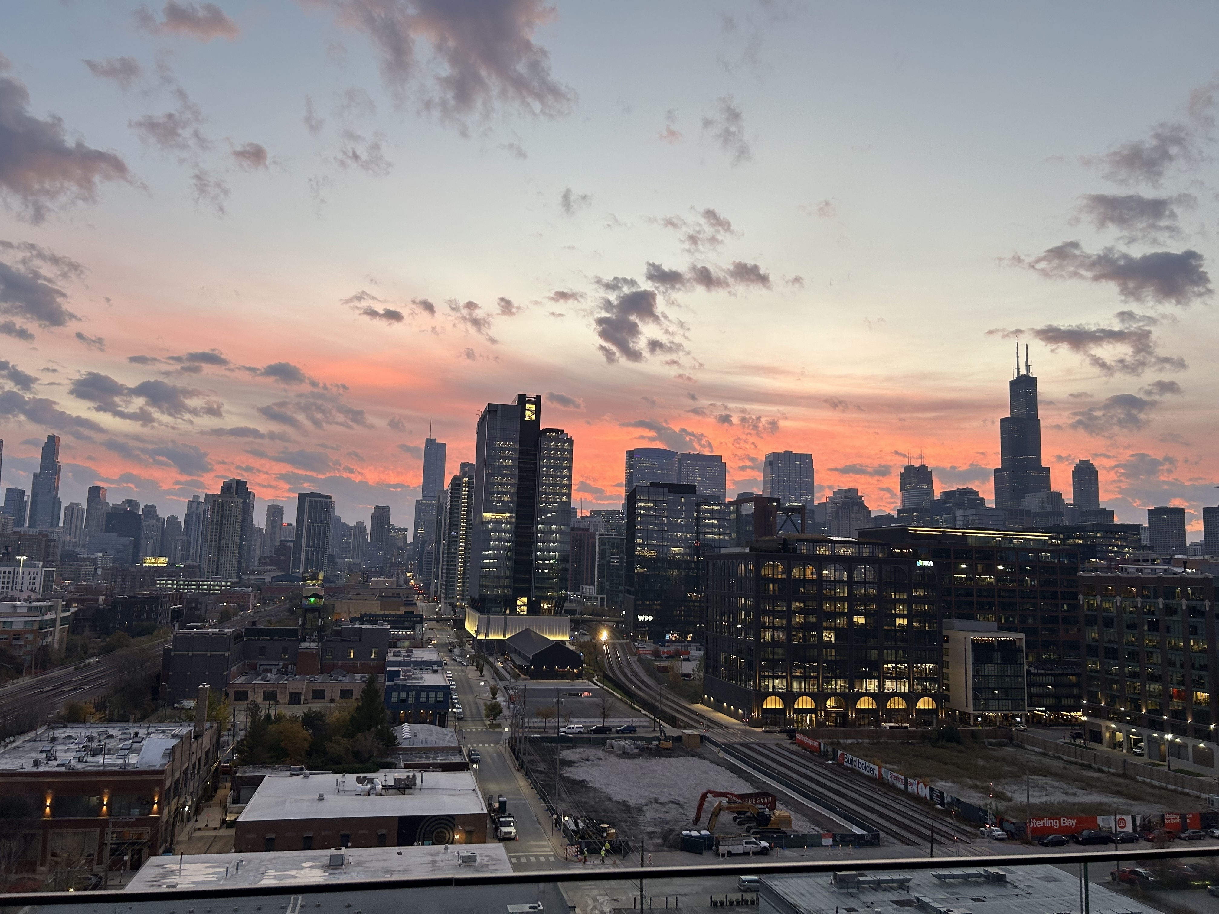Immunartes Chicago image